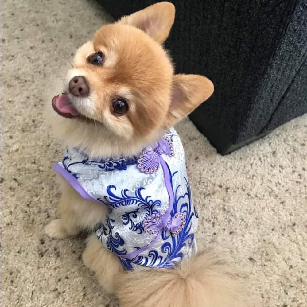 Chamseong dress for Dog
